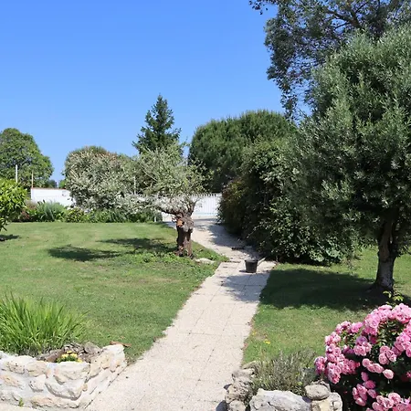 La Caz En Sol Charentais - Le Fa *